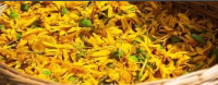 Arnica Montana Flower Extract