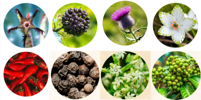 Faithful Fasting Formula Ingredients