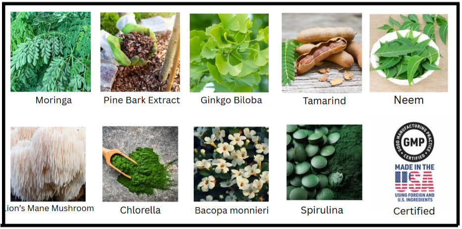 MindQuell Ingredients