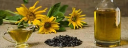 Sunflower Oil