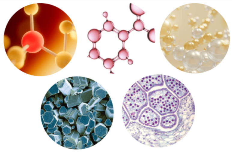 VitaLock Complex Ingredients