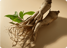 New Era Protect Resveratrol 